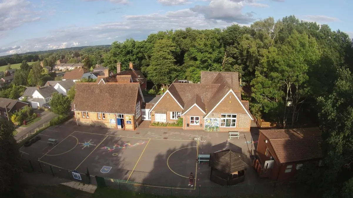 An aerial view of Stedham Primary School, its playground and the surrounding trees