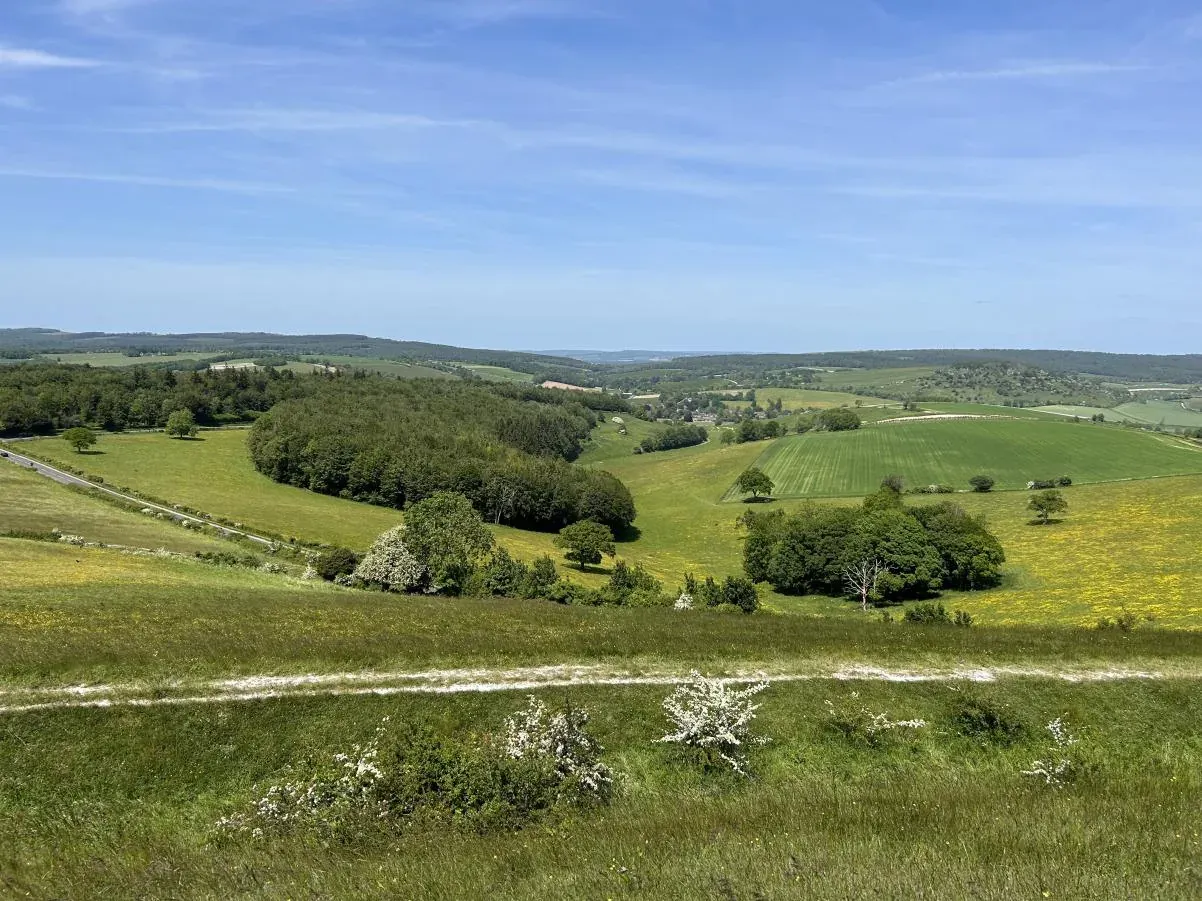 The South Downs and common land near the school under a summer sky