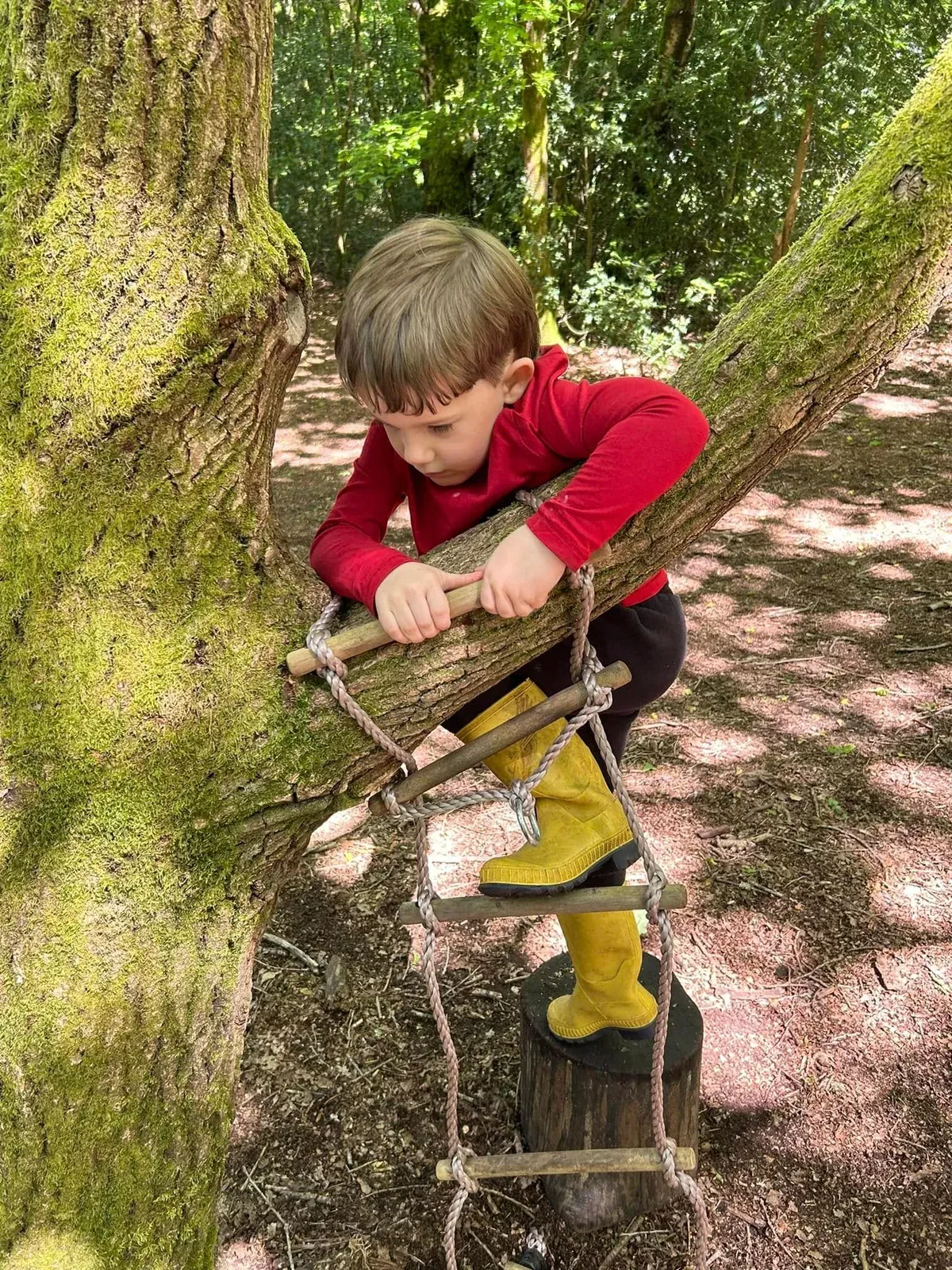 A boy in a red top climbing a rope ladder up a tree in the woods